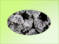 ���d�F������