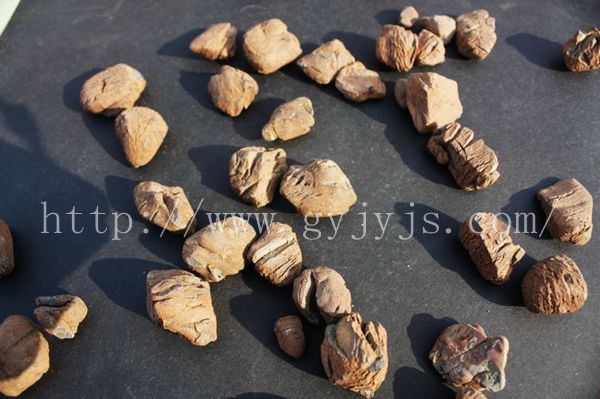 퓎r�����V��